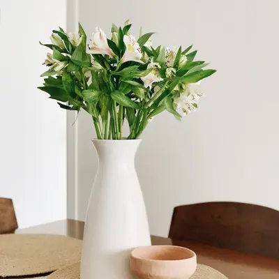 servicios home styling